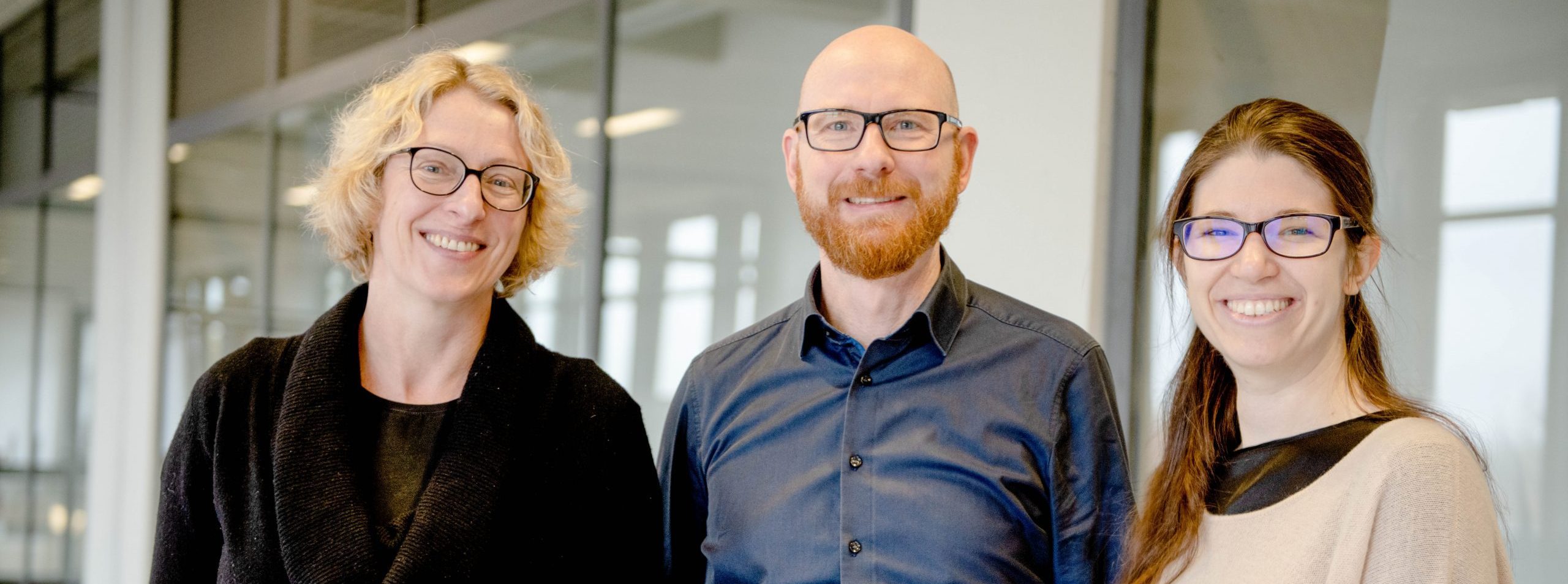 Projektleitung KoLiBRI